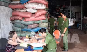 Liên quan vụ “phụ phẩm cà phê nhuộm pin”: Lực lượng chức năng kiểm tra kho chứa hàng trăm tấn hồ tiêu