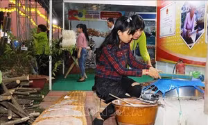 Khai mạc Tuần lễ Văn hóa, Du lịch nghề làm bánh tráng phơi sương Trảng Bàng Tây Ninh lần 2 năm 2018