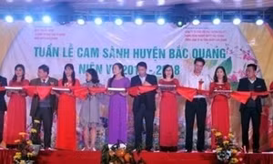 Tuần lễ cam sành huyện Bắc Quang niên vụ 2017-2018