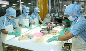 Năm 2018, kim ngạch xuất khẩu thuỷ sản đạt khoảng 9 tỷ USD