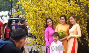 Thành phố Hồ Chí Minh: Phong phú các hoạt động vui đón Xuân Mậu Tuất 2018