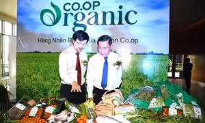 Thành phố Hồ Chí Minh phát triển chuỗi thực phẩm an toàn