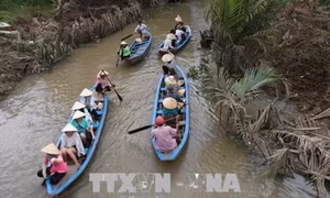Du lịch sinh thái của Tiền Giang tiếp tục hấp dẫn du khách