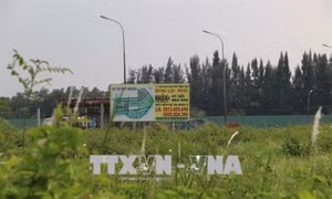 Nguy cơ tái diễn “sốt ảo” giá đất nền tại Thành phố Hồ Chí Minh