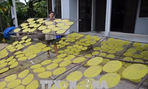 Làng nghề bánh tráng, bánh ướt Lựu Bảo