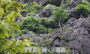 Chủ đầu tư gặp khó trong tháo dỡ công trình xây trái phép trên núi Cái Hạ