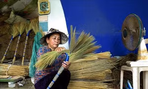 Quảng Ngãi hướng tới bảo hộ nhãn hiệu chổi đót Hành Thuận, cây cảnh Hành Đức