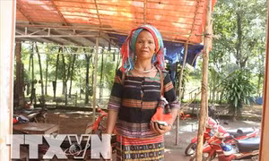 Bà Thị Mương - Người phụ nữ S'Tiêng đa tài ở Bình Phước