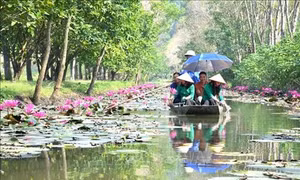 Suối Ấu Vĩnh An - điểm đến hấp dẫn du khách