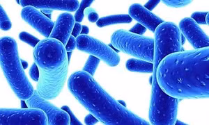 Lợi khuẩn Probiotic không có công dụng trong điều trị cúm dạ dày ở trẻ em