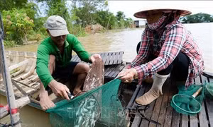 Để người dân sống chung với lũ (Bài 2)