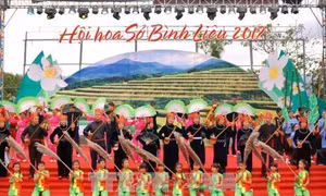 Hội hoa Sở Bình Liêu năm 2018 sẽ diễn ra vào trung tuần tháng 12