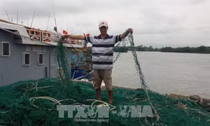 Bình Thuận không cho phép đóng mới tàu cá làm nghề giã cào từ ngày 20/3