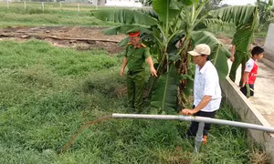 Long An: Phát hiện cơ sở giết mổ xả nước thải chưa qua xử lý