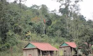 Nhà sàn, không gian thiêng của đồng bào Macoong