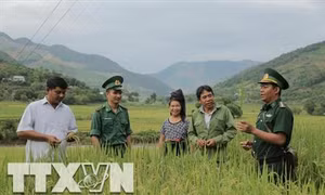 Bộ đội Biên phòng Sơn La hỗ trợ đồng bào vùng biên xây dựng nông thôn mới