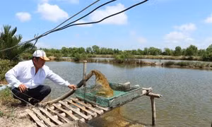Các khu kinh tế ven biển cần hướng tới nền kinh tế các bon thấp