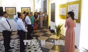Bảo tàng Thành phố Hồ Chí Minh giới thiệu, phát huy giá trị văn hóa vùng đất Nam Bộ