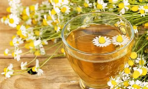Nước uống giải nhiệt từ thảo dược