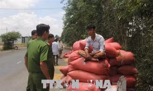 Điều tra vụ nhóm đối tượng ngăn cản, chống người thi hành công vụ tại Long An