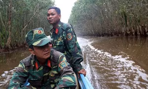 Phát huy vai trò người lính Cụ Hồ trong công tác giữ rừng
