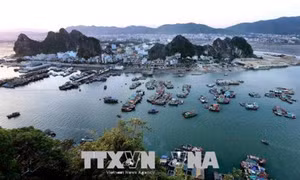 Hãy thể hiện tình yêu nước một cách sáng suốt!