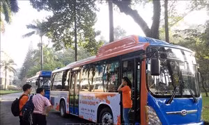 Nam giới tiên phong trong phòng ngừa bạo lực, quấy rối tình dục đối với phụ nữ và trẻ em