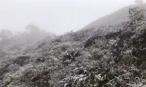 Tuyết phủ trắng núi rừng Sa Pa