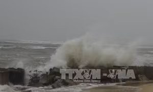 Thời tiết ngày 4/6: Hoàn lưu áp thấp nhiệt đới trên biển Đông gây mưa dông, lốc xoáy, gió giật mạnh khu vưc Trung Trung Bộ, Nam Bộ và Tây Nguyên