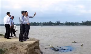 Quảng Ngãi kiến nghị Trung ương hỗ trợ 200 tỷ đồng khắc phục hậu quả thiên tai