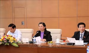Phó Chủ tịch Thường trực Quốc hội Tòng Thị Phóng: Phát huy vai trò của người có uy tín trong đồng bào dân tộc thiểu số