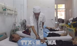 Xử trí bệnh mùa nóng thường gặp ở người cao tuổi