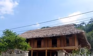 Làm nhà sàn bê tông góp phần bảo vệ rừng ở Sơn Dương