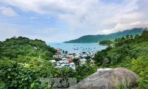 Nỗ lực giữ gìn, bảo tồn, phát huy giá trị Khu dự trữ sinh quyển thế giới Cù Lao Chàm