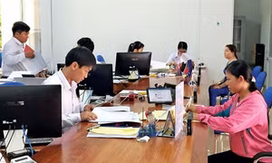 Long An khắc phục tồn tại, nâng cao hiệu quả sắp xếp tổ chức bộ máy