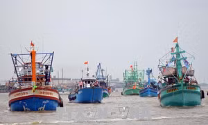 Hàng nghìn người tham gia lễ hội Nghinh Ông Sông Đốc