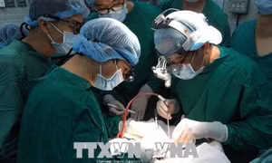 Hai bệnh nhân được ghép tạng chuẩn bị xuất viện