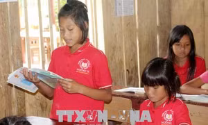 Hiệu quả của việc sáp nhập các đơn vị trường học tại huyện Mường Tè, Lai Châu