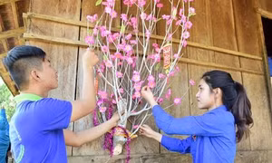 Đón Tết nhiều niềm vui ở miền núi Quảng Ngãi