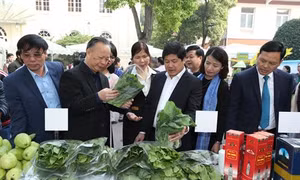 Hà Nội tăng cường phối hợp phát triển chuỗi cung cấp rau thịt an toàn