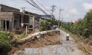 Sạt lở nghiêm trọng trên tuyến đê bao sông Vàm Cỏ (Long An)