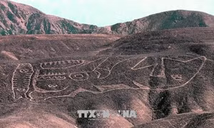 Phát hiện hơn 20 hình vẽ khổng lồ trên sa mạc của Peru