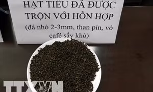 Đắk Nông: Vụ vỏ cà phê trộn sỏi và nhuộm than pin: Khởi tố, bắt tạm giam 5 bị can 