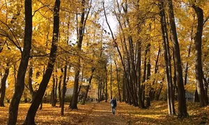 Thăm Tula, quê hương Đại văn hào Lev Tolstoy