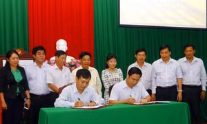 Cần Thơ muốn trở thành trung tâm cung ứng lúa giống cho khu vực