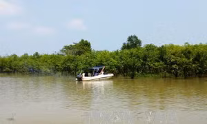 Mô hình du lịch sinh thái mới lạ ở Bình Phước