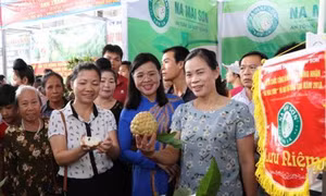 Lễ công bố nhãn hiệu chứng nhận “Na Mai Sơn” của Sơn La