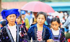 Lên rẻo cao Nậm Pọng xem người Mông phát triển kinh tế