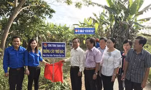 Bạc Liêu: Phát huy sức trẻ trong xây dựng nông thôn mới