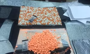 Hải quan Tân Sơn Nhất thu giữ 12,5 kg thuốc lắc gửi qua đường chuyển phát nhanh